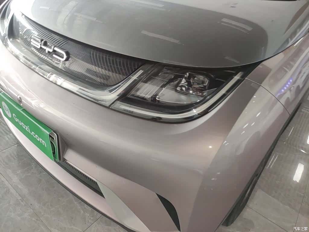 BYD Dolphin, 2022 24