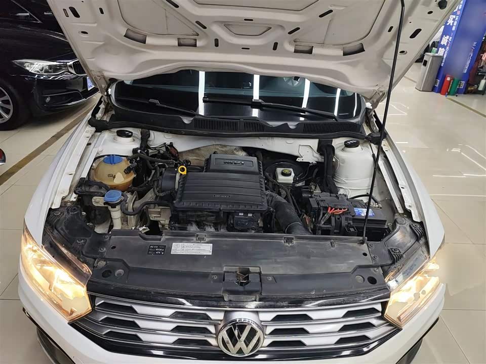 Volkswagen C-TREK Wei Collar