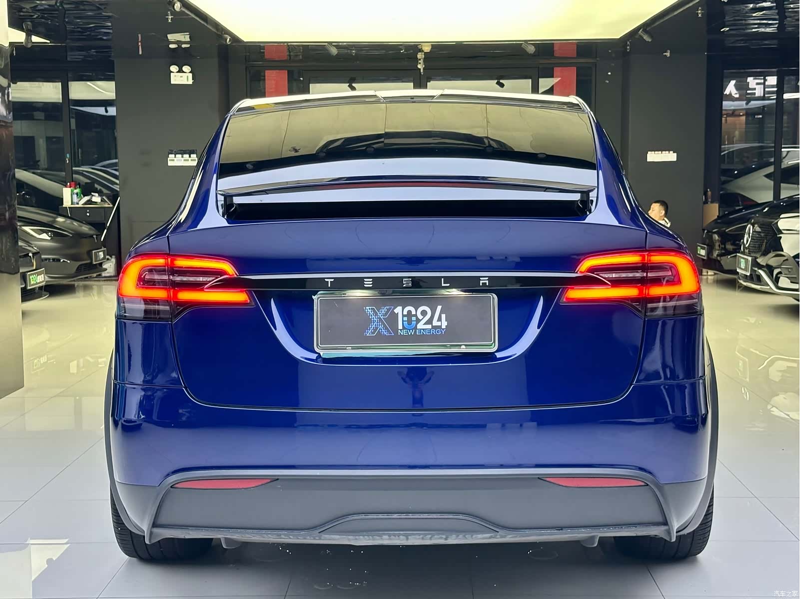 Tesla Model X, 2023 все фото