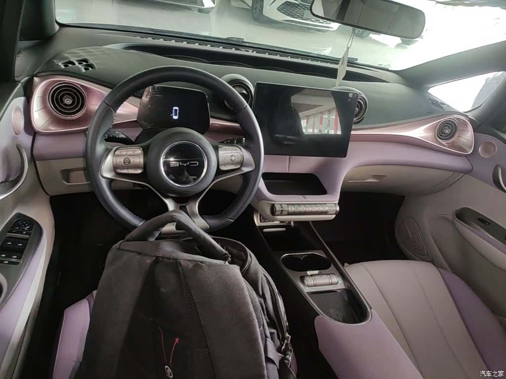 BYD Dolphin, 2022 10