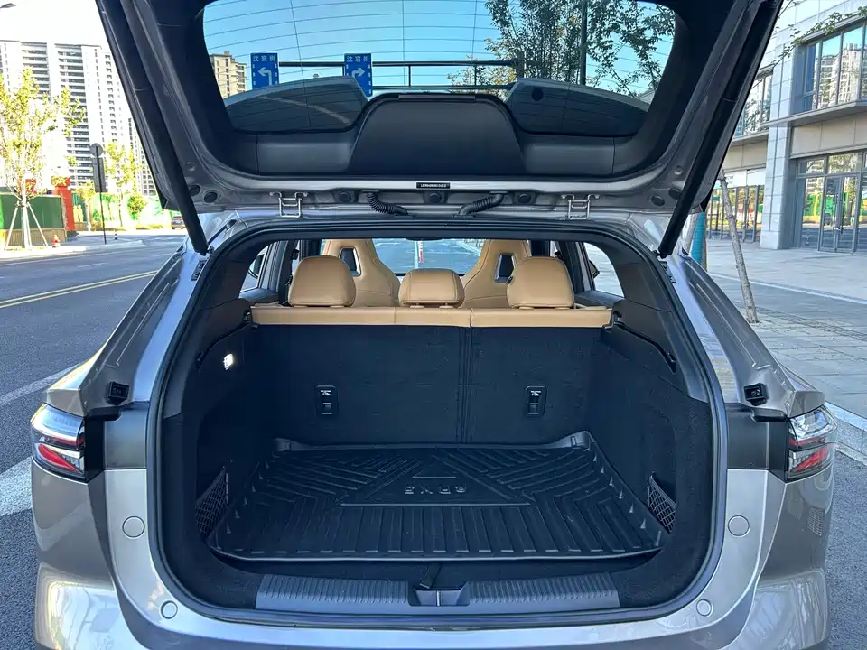 Roewe RX5 New energy