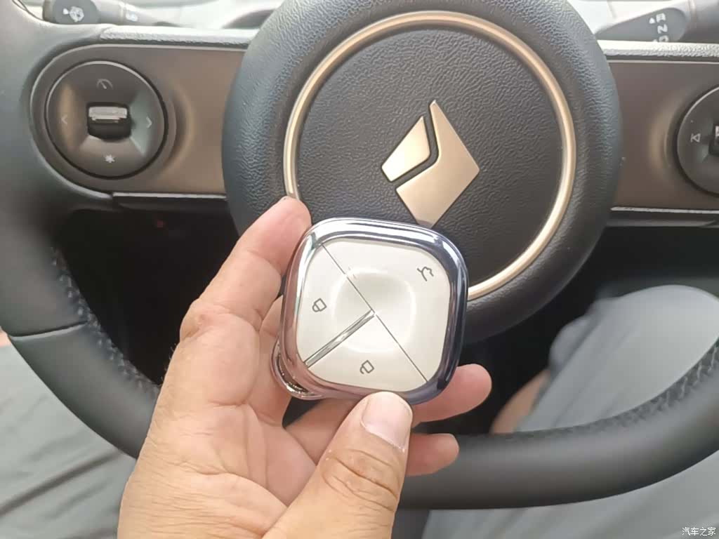 Wuling 460, 2024 9
