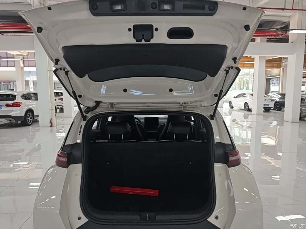 BYD Seagull, 2024 19