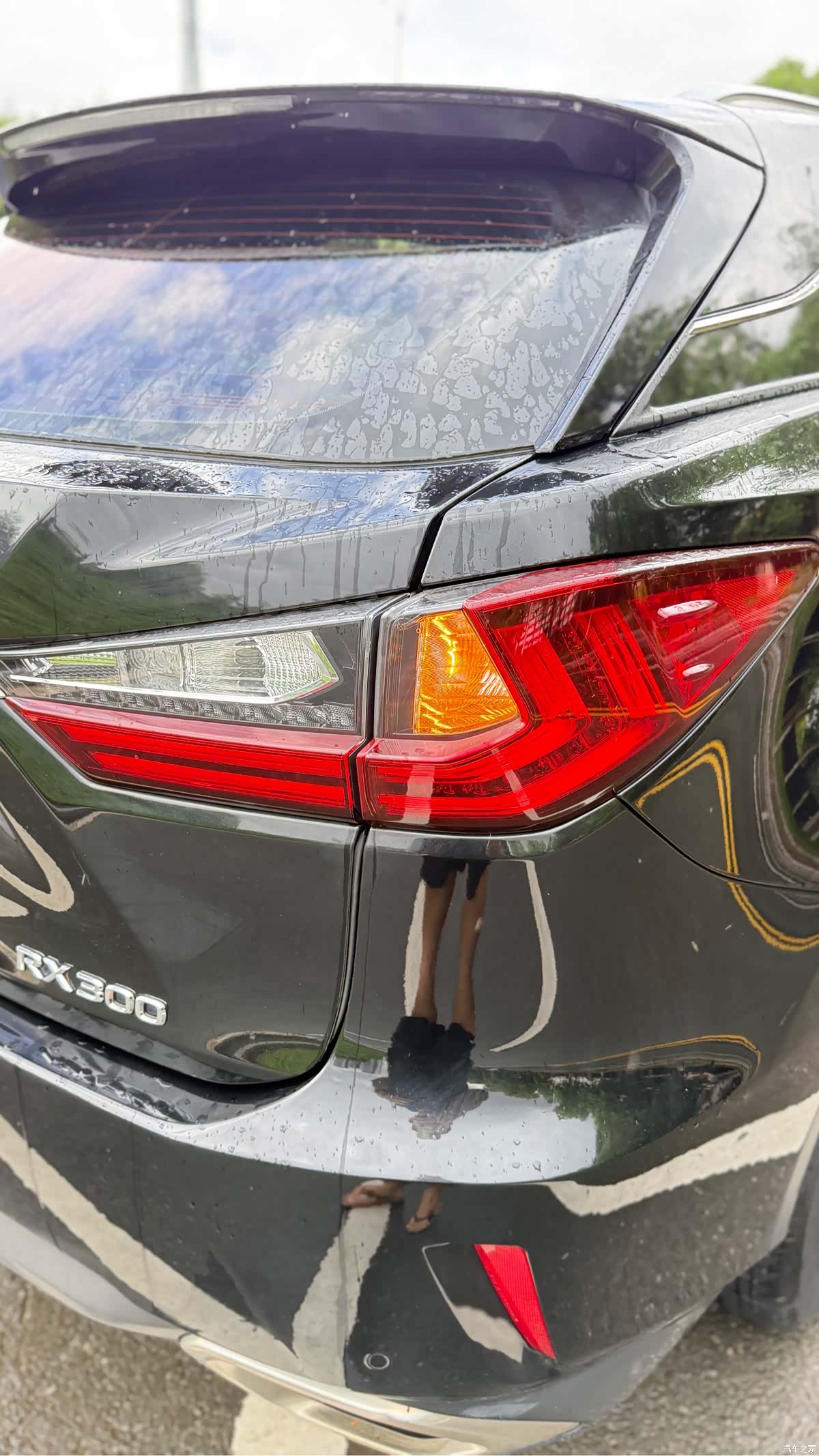 Lexus RX, 2019 22