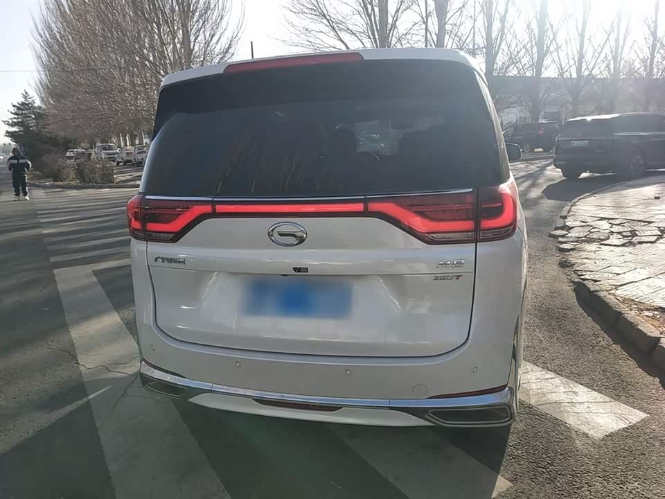 Trumpchi Trumpchi M8