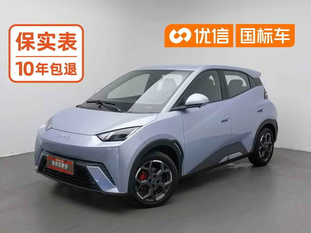 BYD Seagull