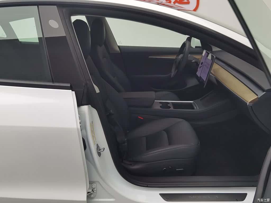 Tesla Model 3, 2021 23