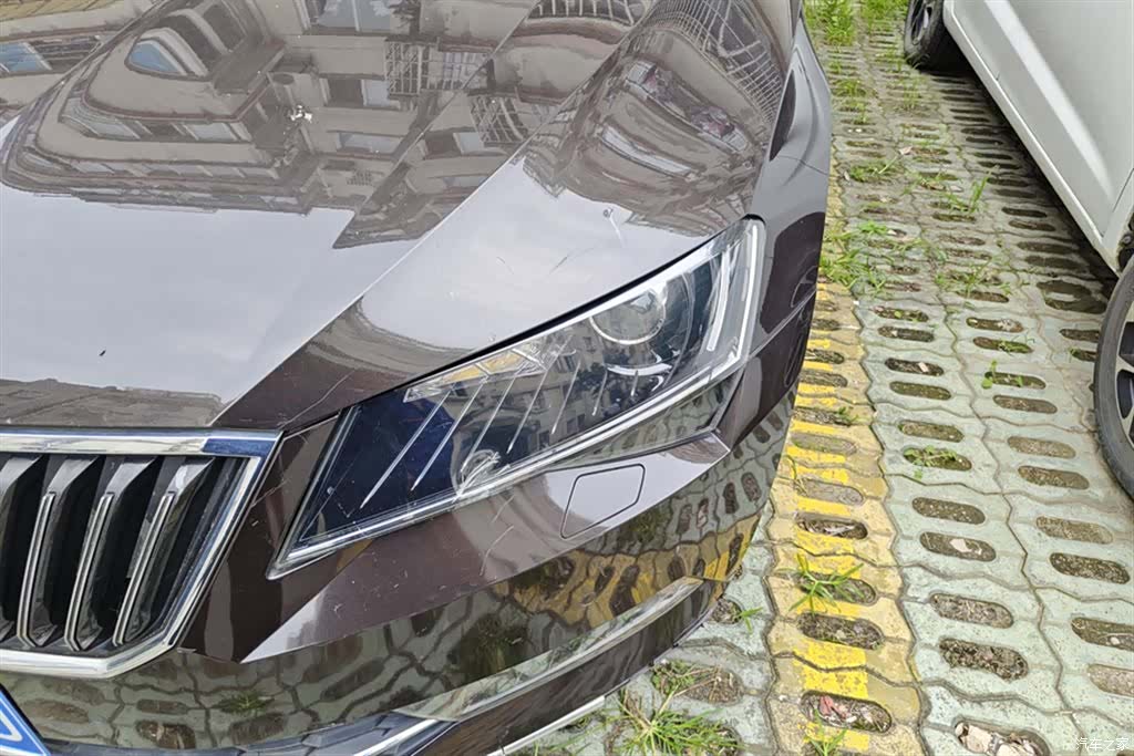 Skoda Superb, 2016 все фото