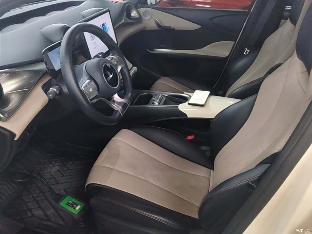 BYD Dolphin, 2024 15