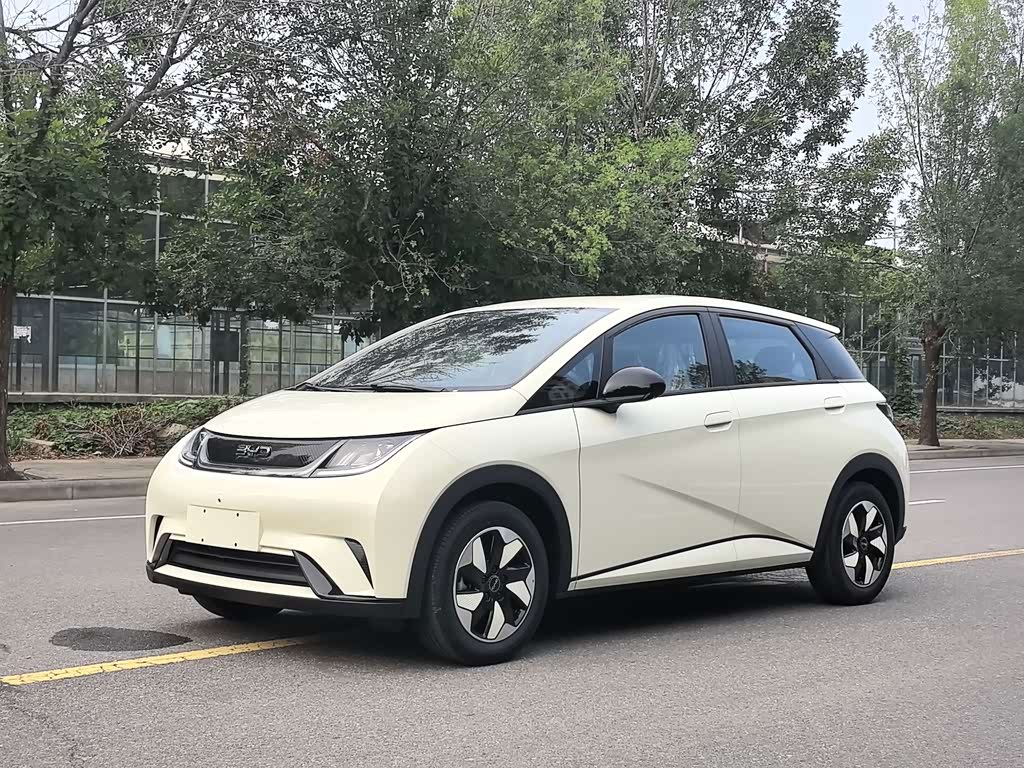 BYD Dolphin