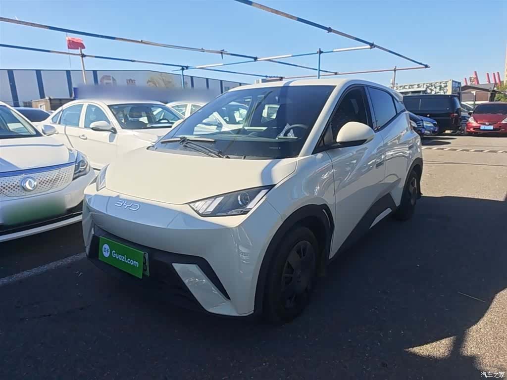 BYD Seagull, 2024 1