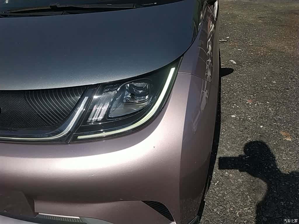 BYD Dolphin, 2022 24