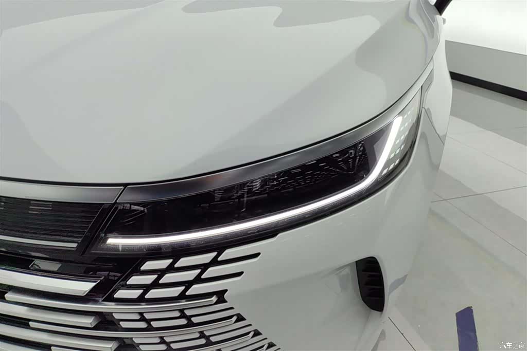 BYD Destroyer 05, 2025 все фото