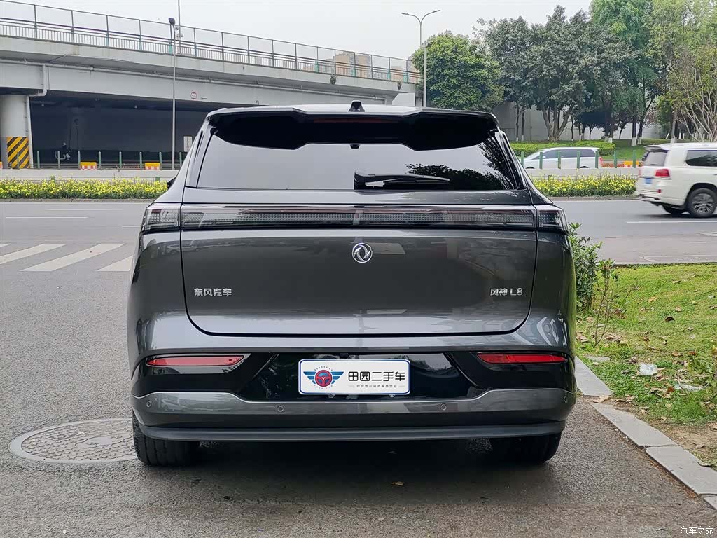 DongFeng L8, 2025 все фото