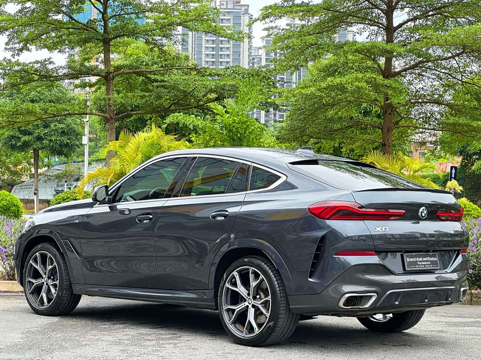 BMW X6