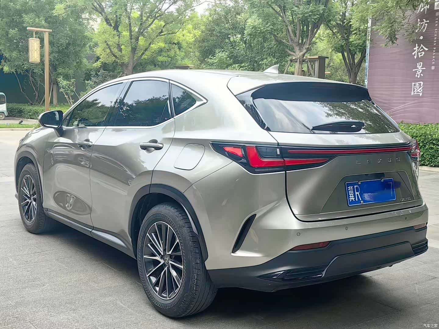Lexus NX, 2023 все фото