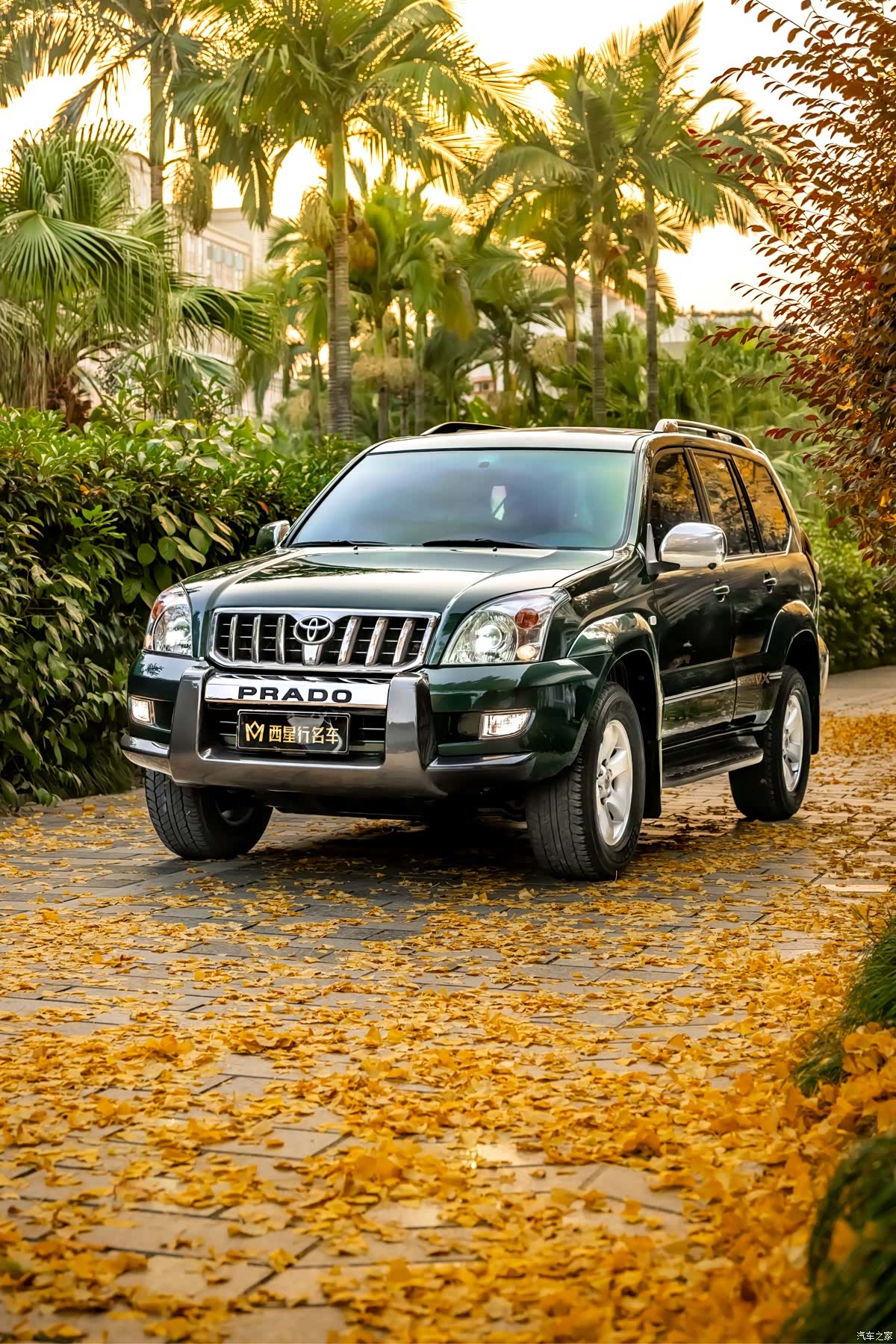 Toyota Prado, 2008 1