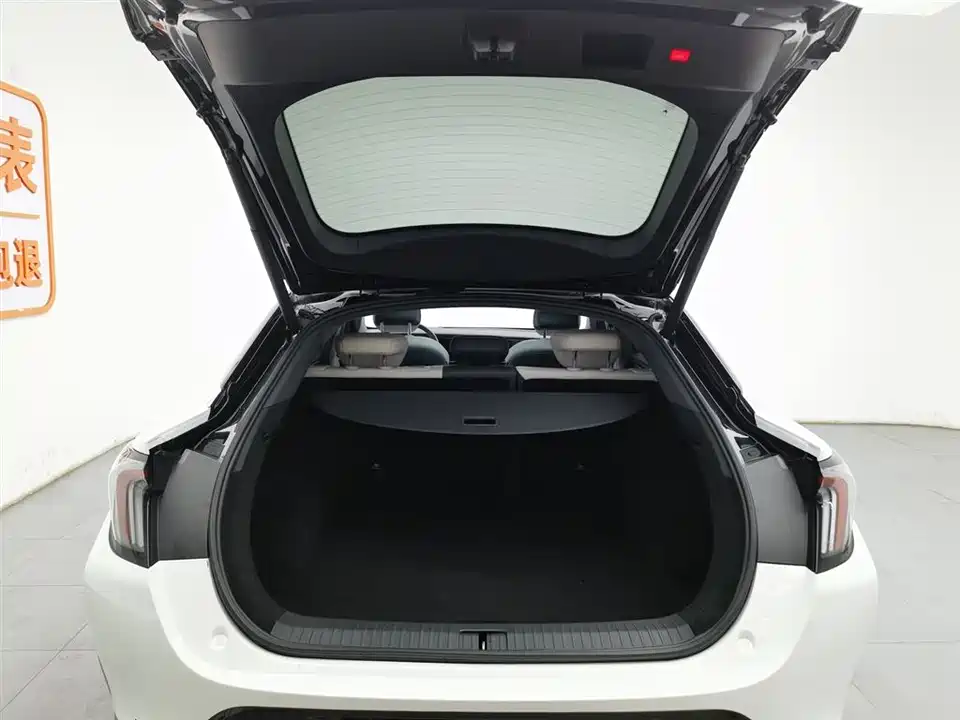 ARCFOX Polar Fox Alpha S