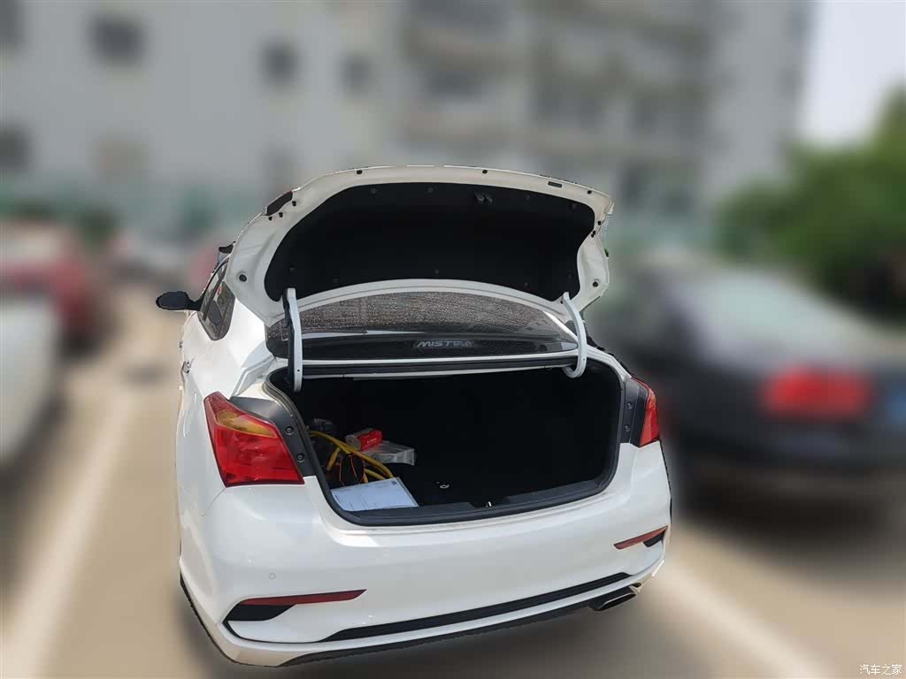 Hyundai GLS, 2018 10
