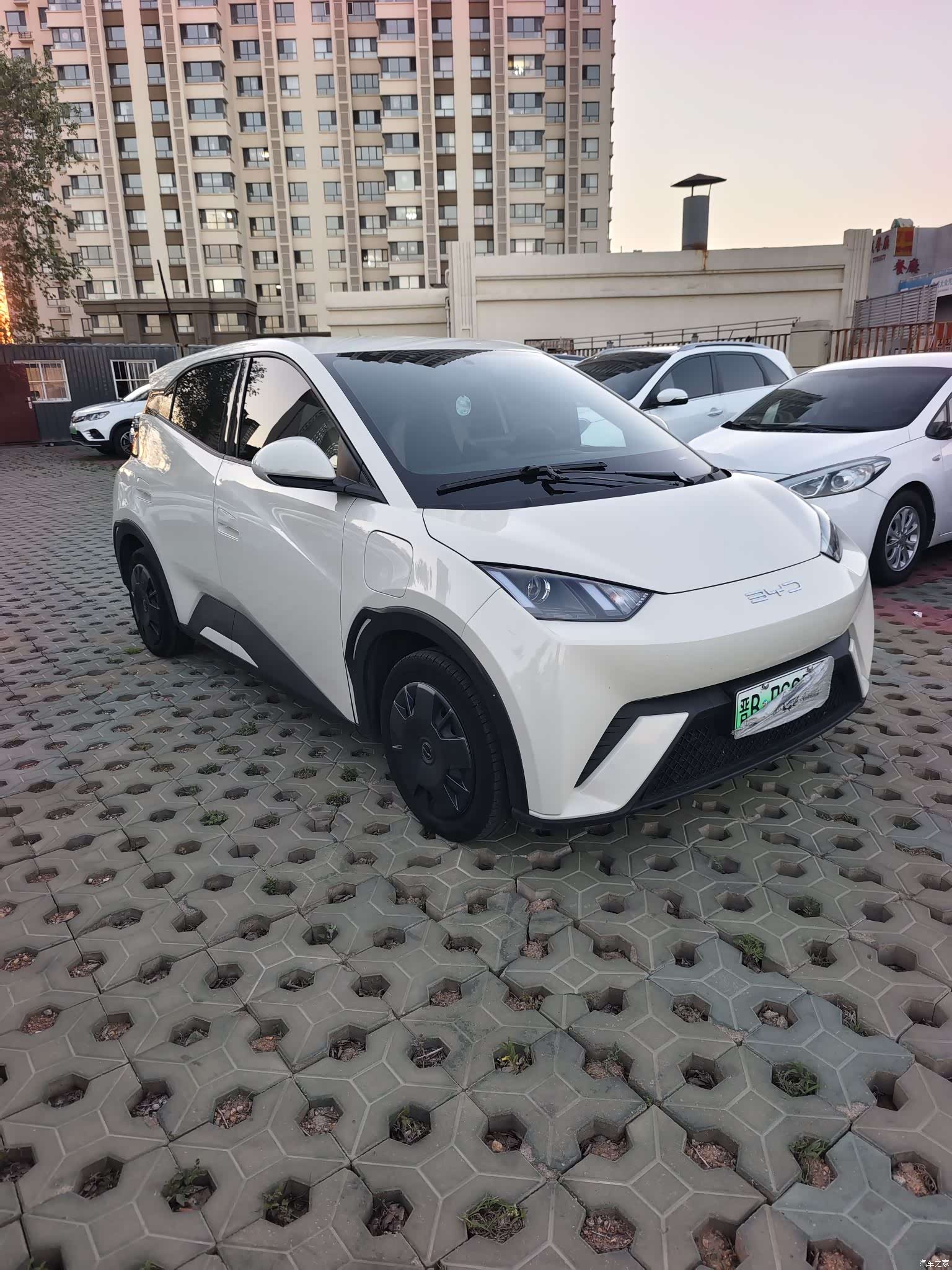 BYD Seagull, 2023 3