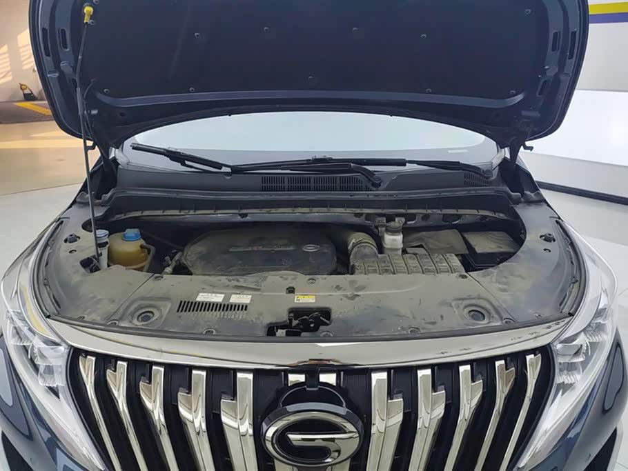 Trumpchi Trumpchi M8