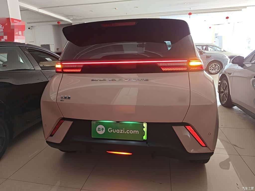 BYD Seagull, 2024 6