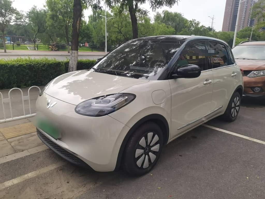 Wuling Binguo