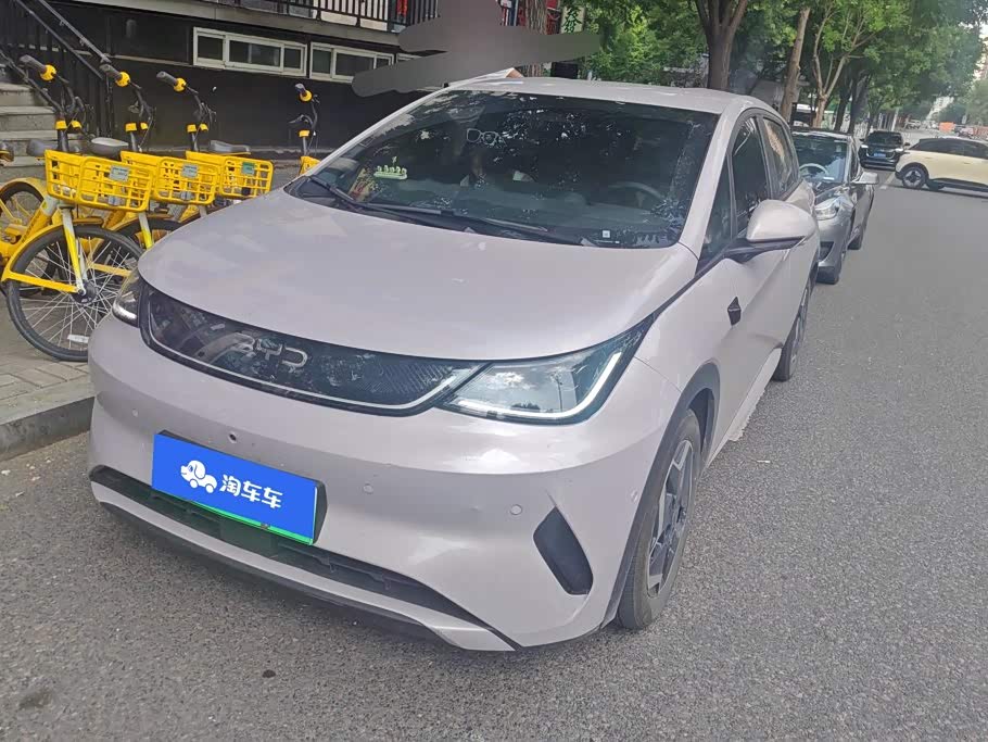 BYD Dolphin