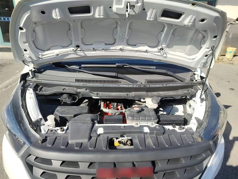 Jinbei Golden Sea Lion Classic