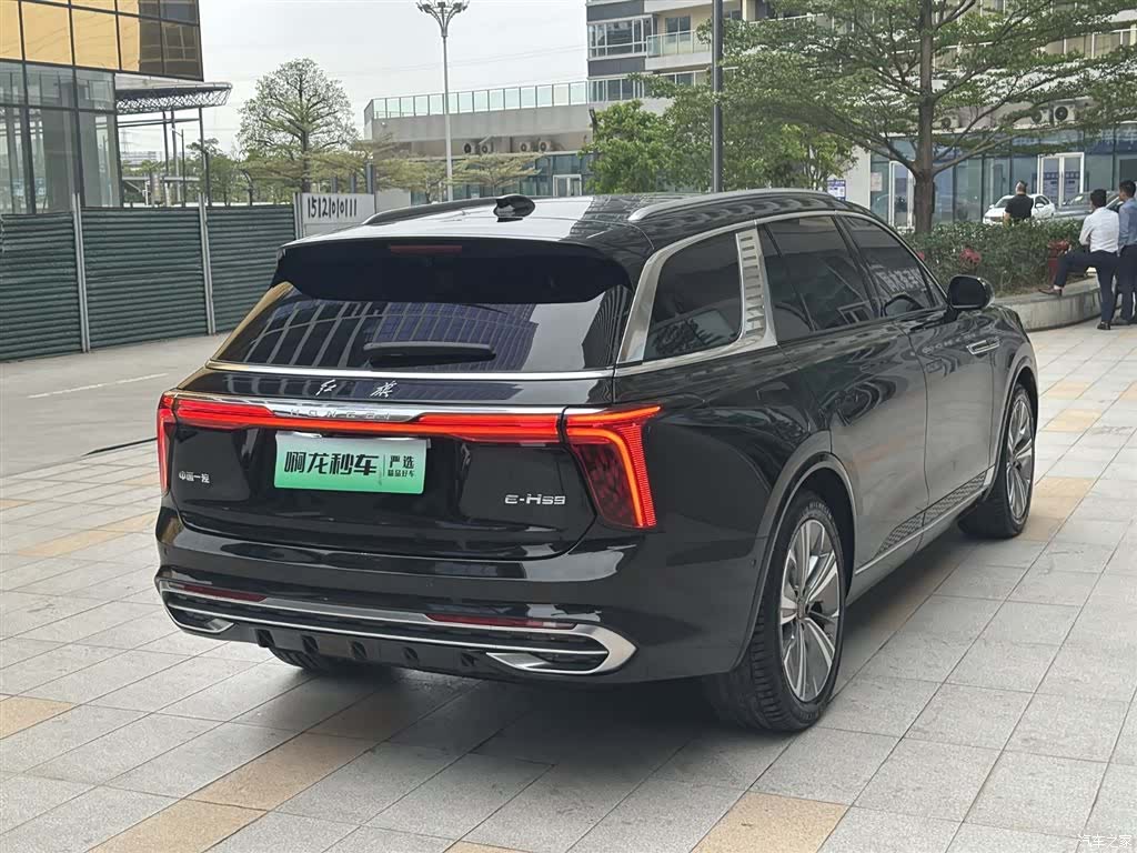Hongqi E-HS9, 2023 8