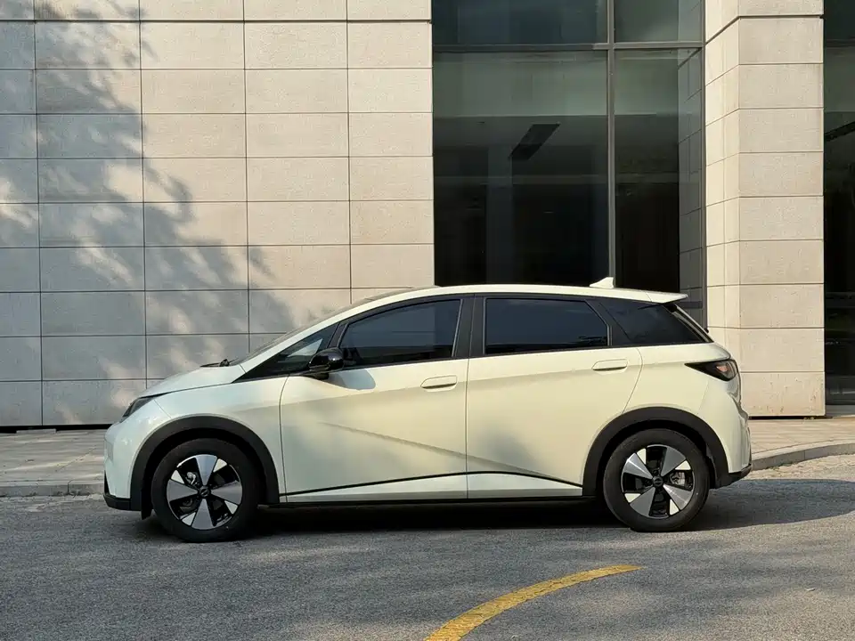 BYD dolphin