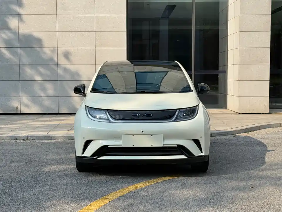 BYD dolphin