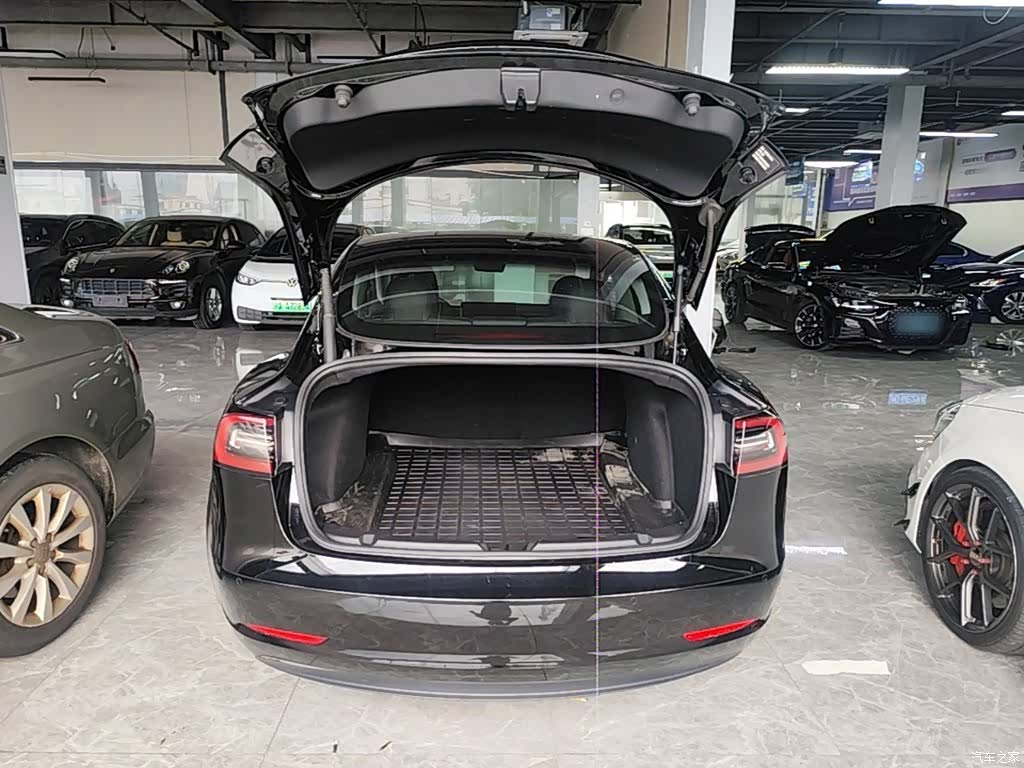 Tesla Model 3, 2021 19