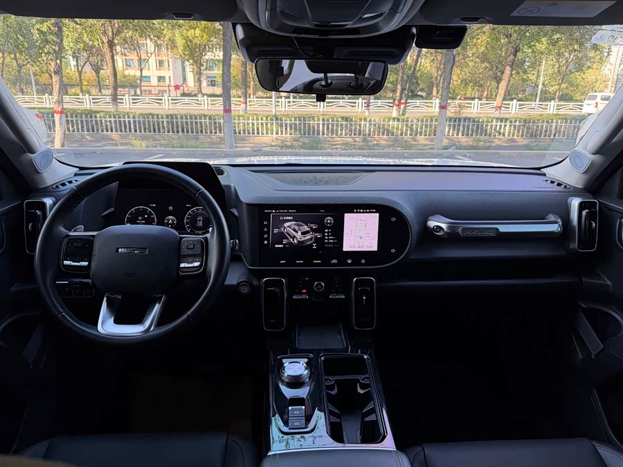 Haval Haval Dago 2021, фото 6