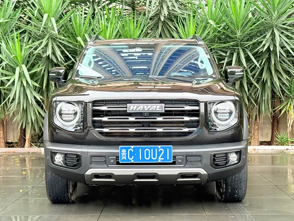 Haval Big dog