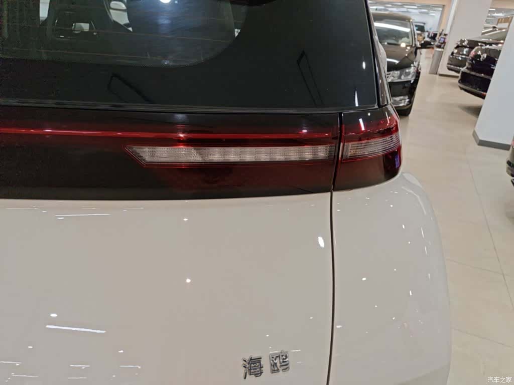 BYD Seagull, 2024 8