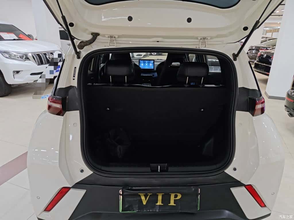 BYD Seagull, 2024 19