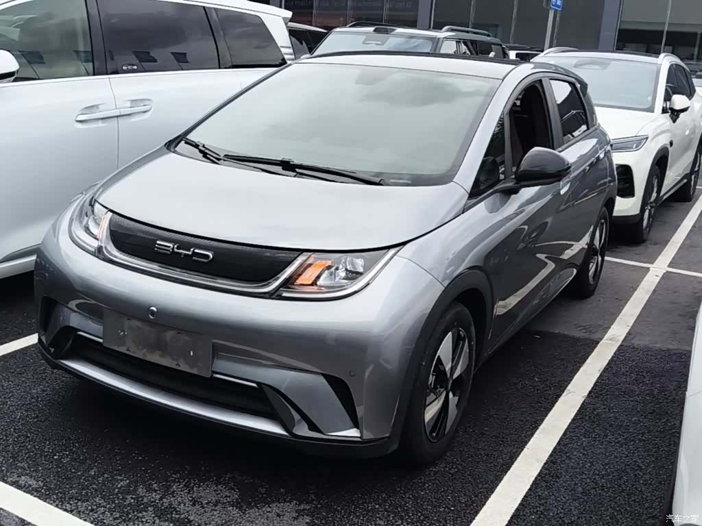 BYD Dolphin, 2023 1