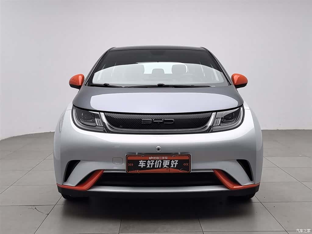 BYD Dolphin, 2022 3