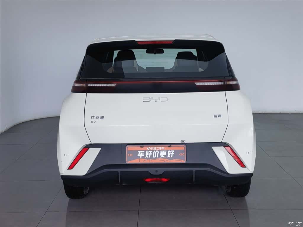 BYD Seagull, 2024 4