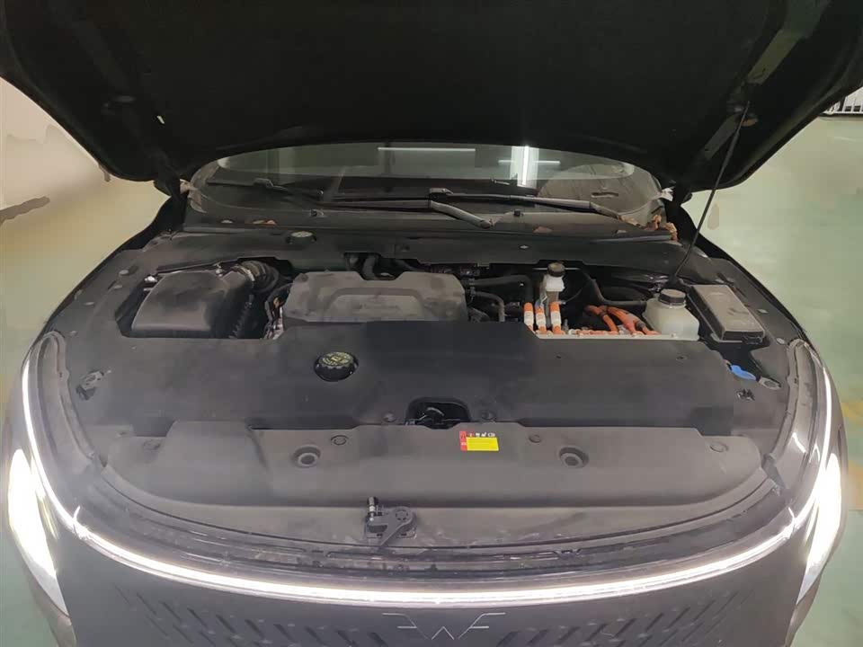 Wuling Wuling Starlight