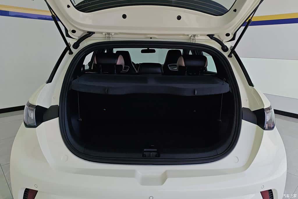 BYD Dolphin, 2026 4