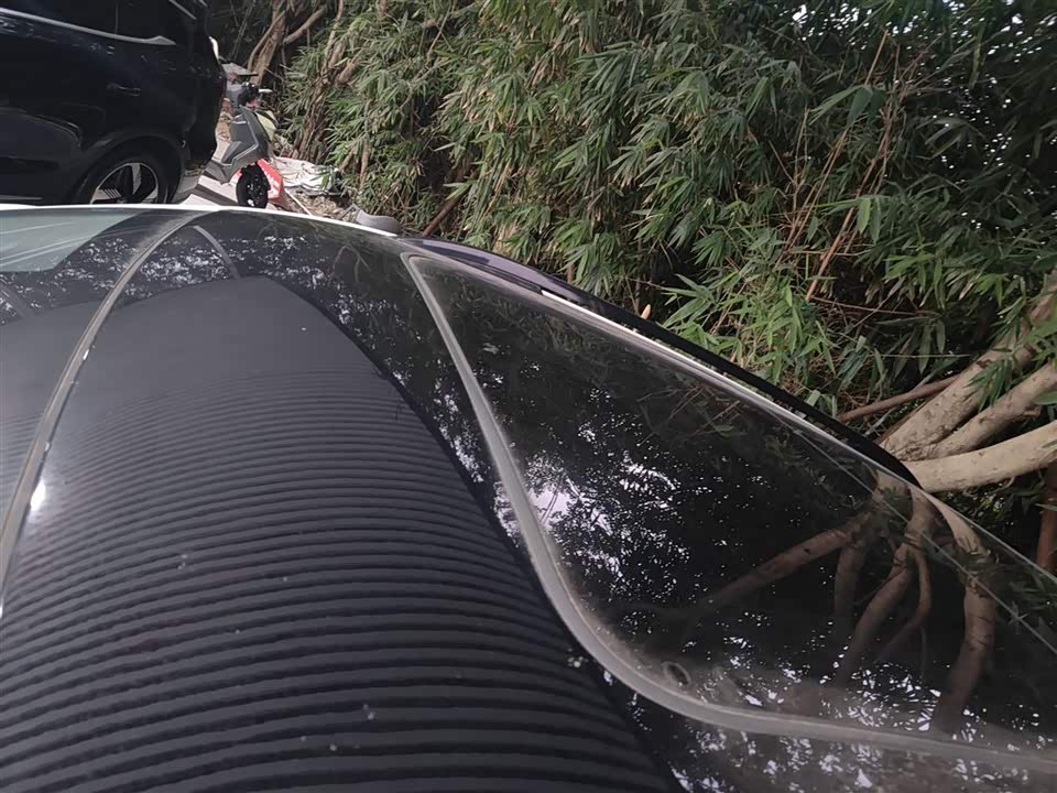 Forthing Popular T5 EVO