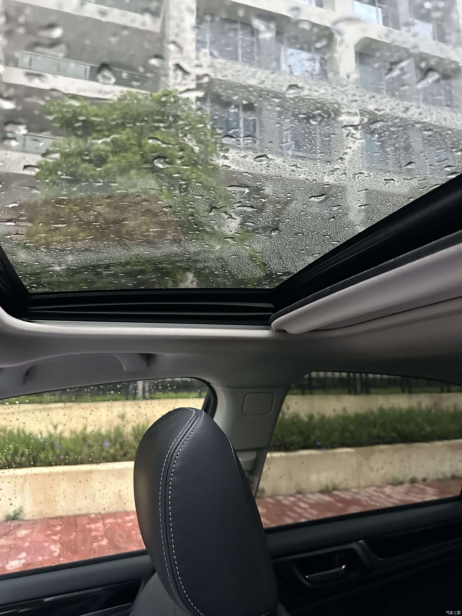 Subaru Legacy, 2020 все фото