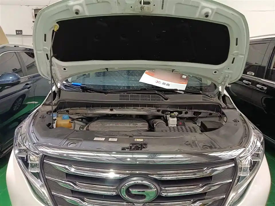 Trumpchi Trumpchi M8