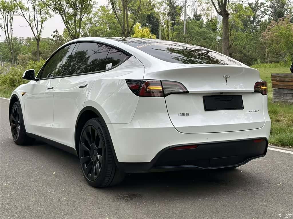 Tesla Model Y, 2021 все фото