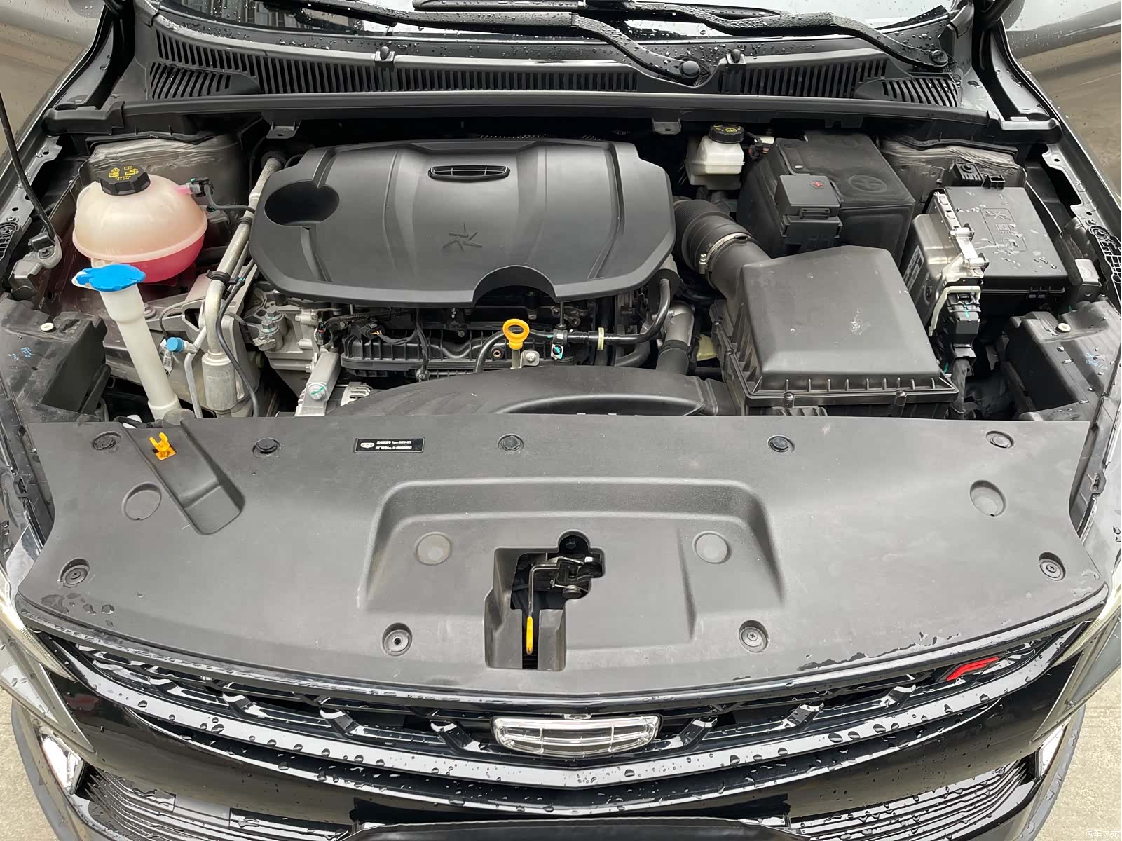 Geely Binray, 2023 15