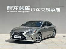 �׿���˹ES 2022�� 200 ������