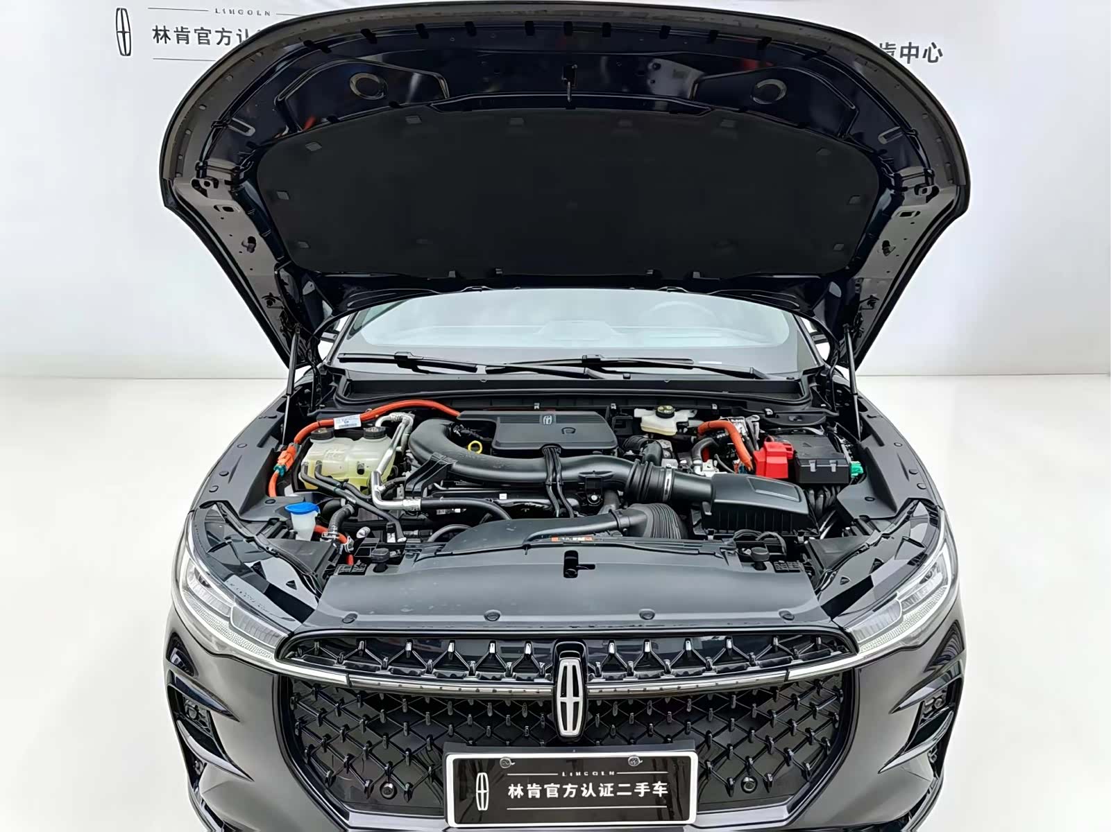 Lincoln Z, 2026 8
