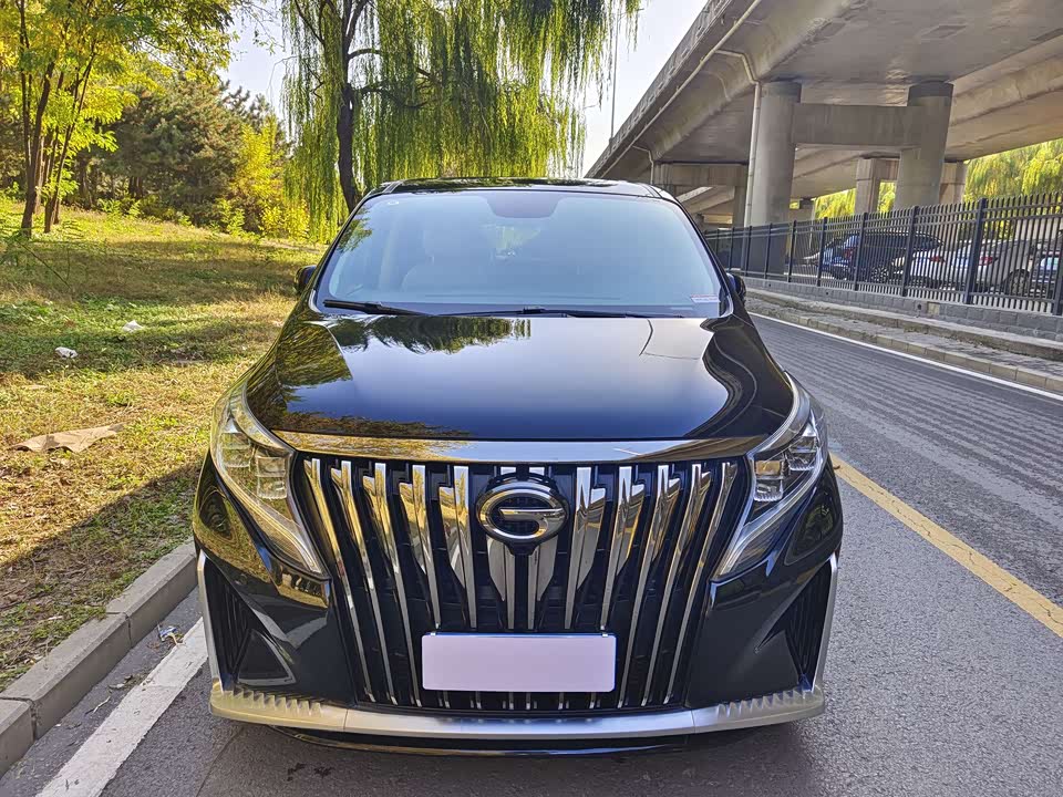 Trumpchi Trumpchi M8